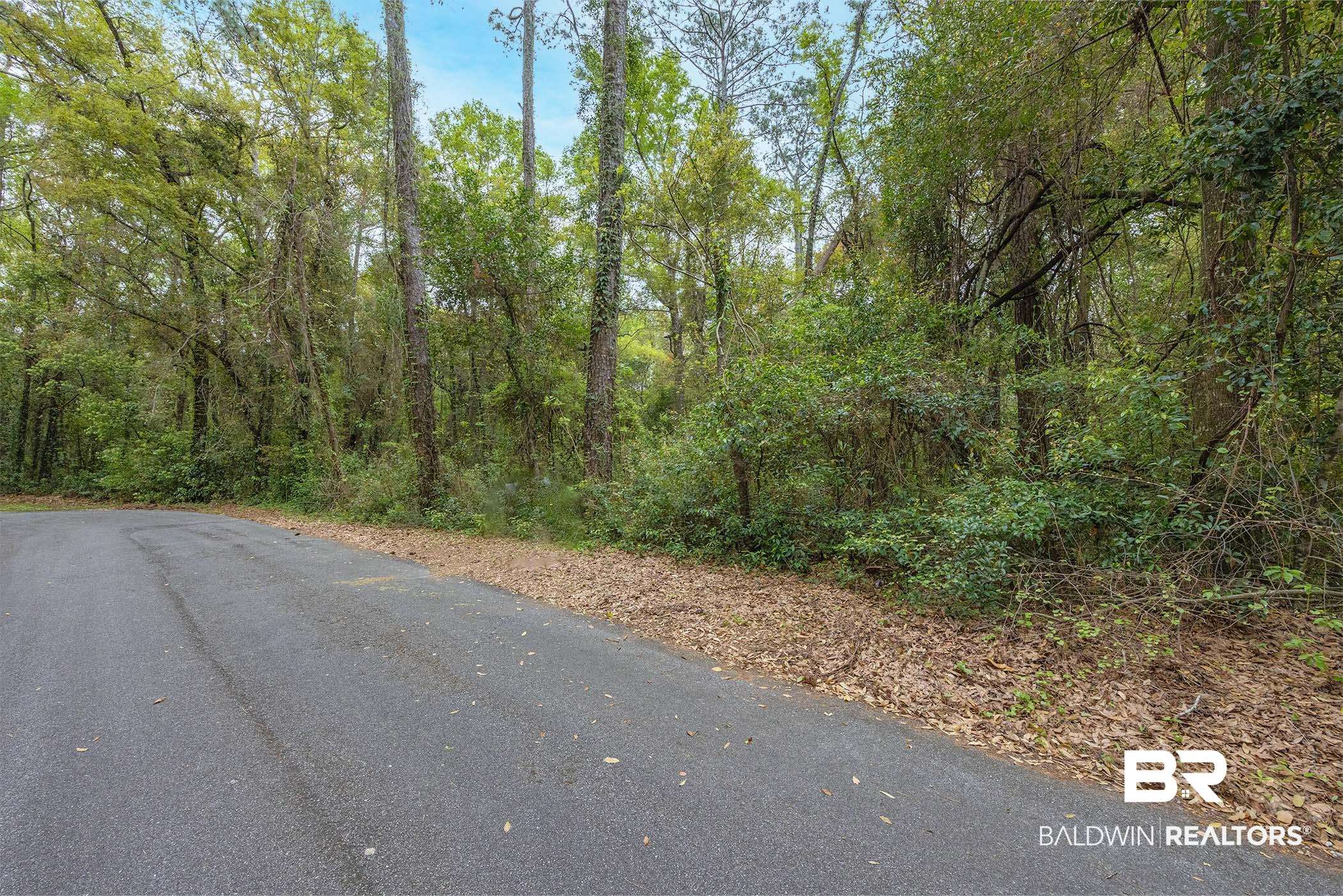 0 Wharf Street Daphne, AL 36526 - Photo 9 of 21