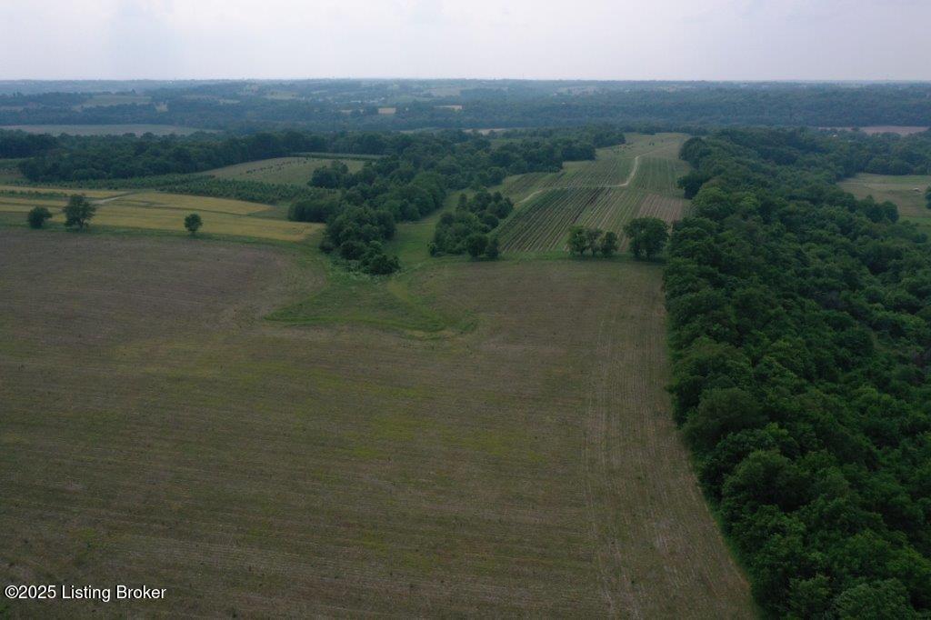 10001 Bloomfield Road Springfield, KY 40069 - Photo 14 of 19 DJI_0313