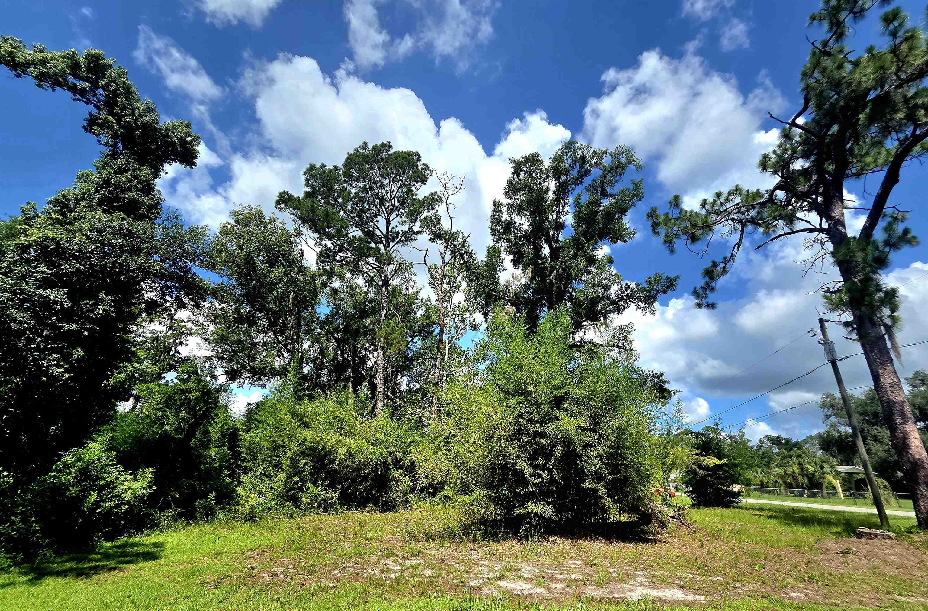 Lot 1 North Washington Street Perry, FL 32347 - Photo 3 of 8