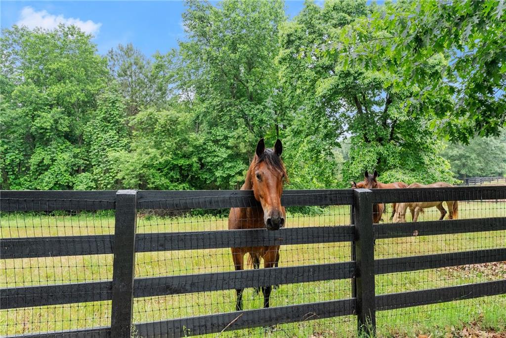 7215 Kelly Bridge Road Dawsonville, GA 30534 - Photo 54 of 83