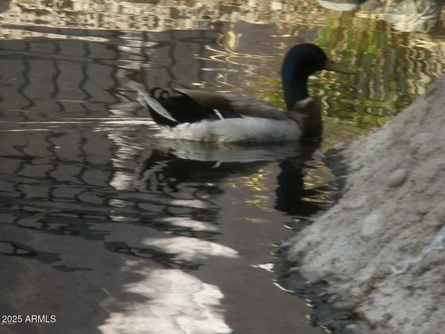 $210,000 | 6550 North 47th Avenue North, Unit 238, Glendale, AZ 85301