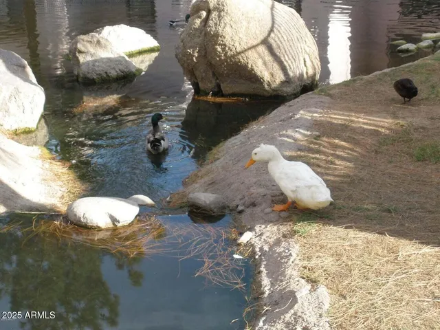 $210,000 | 6550 North 47th Avenue North, Unit 238, Glendale, AZ 85301