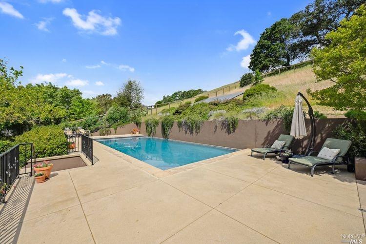 a view of a swimming pool with a patio and plants