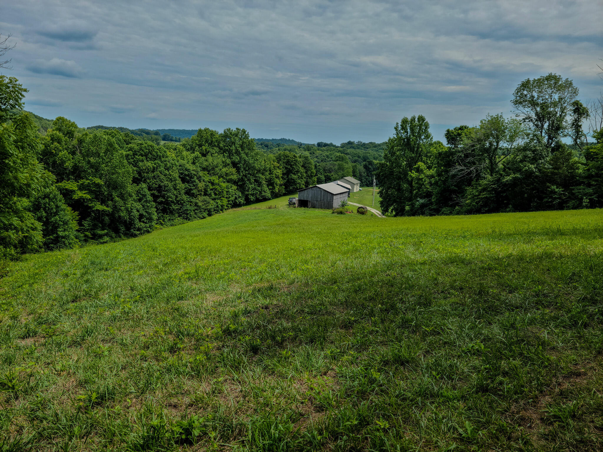 1640 Clear Branch Road Liberty, KY 42539 - Photo 109 of 135 20240706_150456