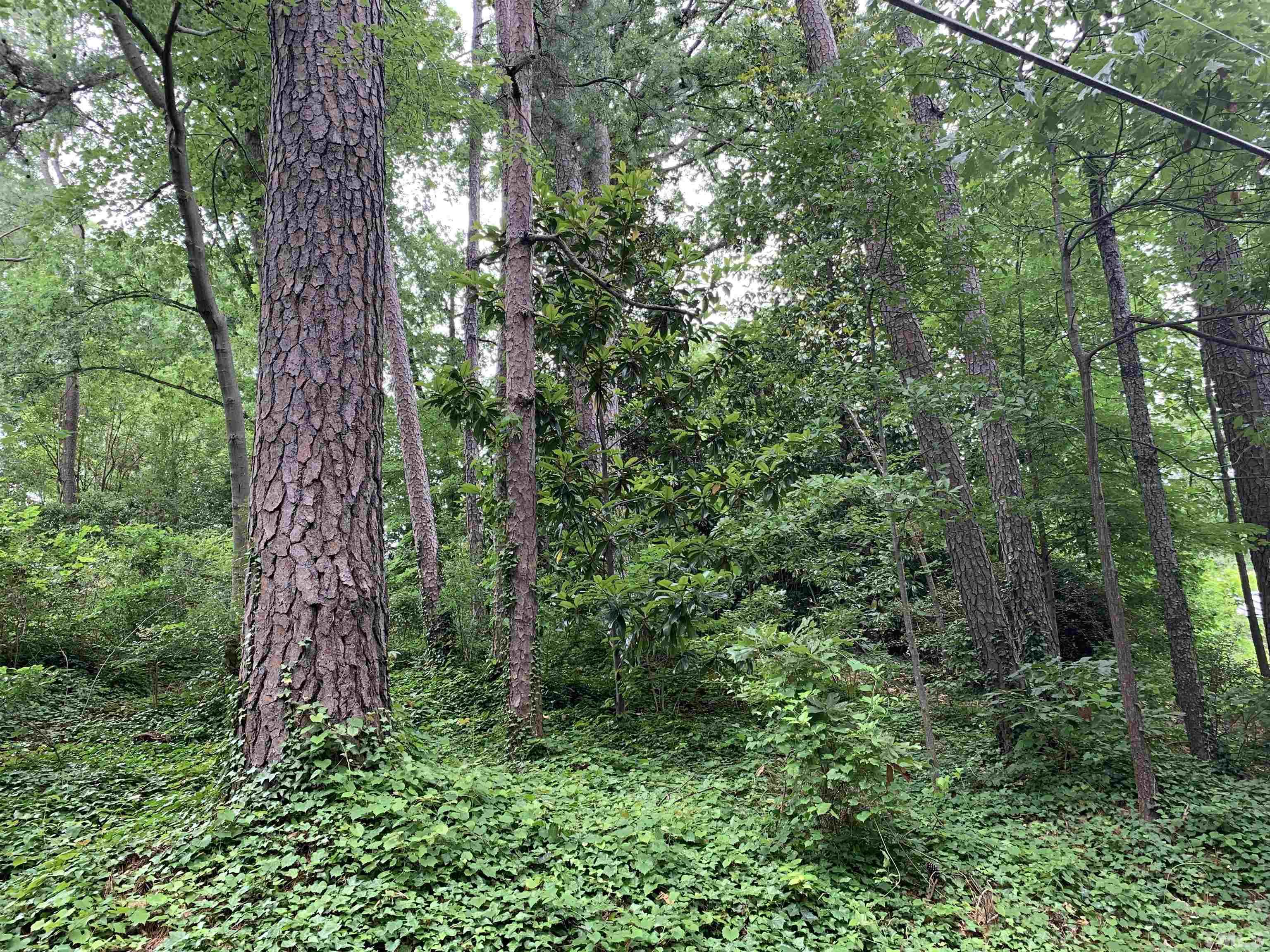 1322 Williamson Drive Raleigh, NC 27608 - Photo 4 of 4 .18 acre lot available next door. 1318 Williamson