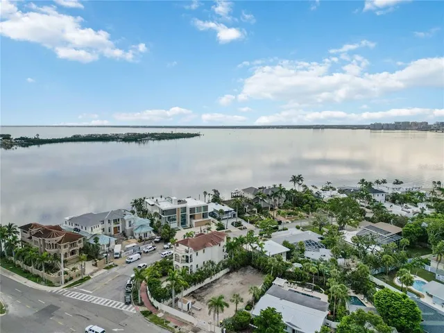 a view of a terrace with a palm tree