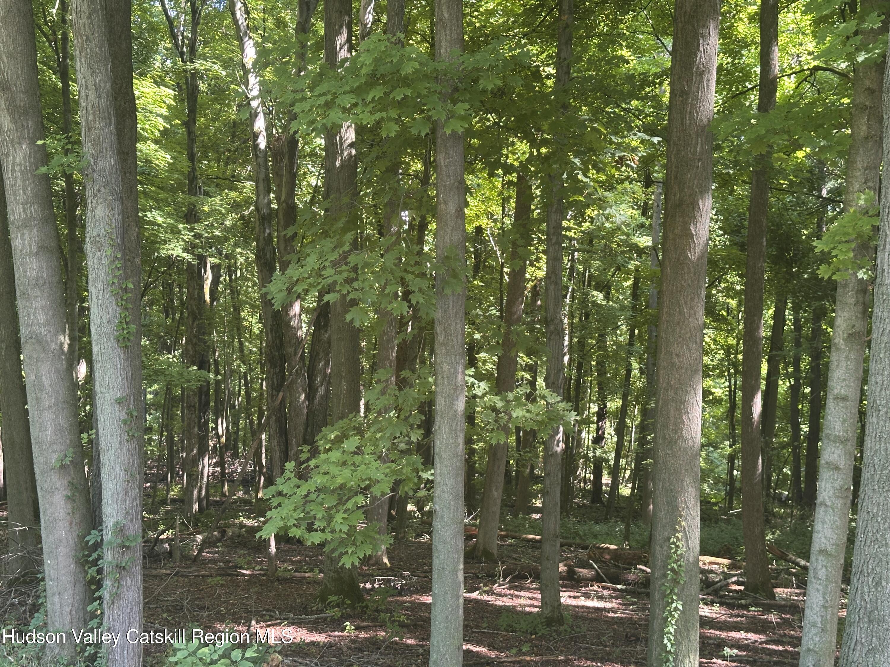 481 Doodletown Road Ancram, NY 12502 - Photo 5 of 28 IMG_3468