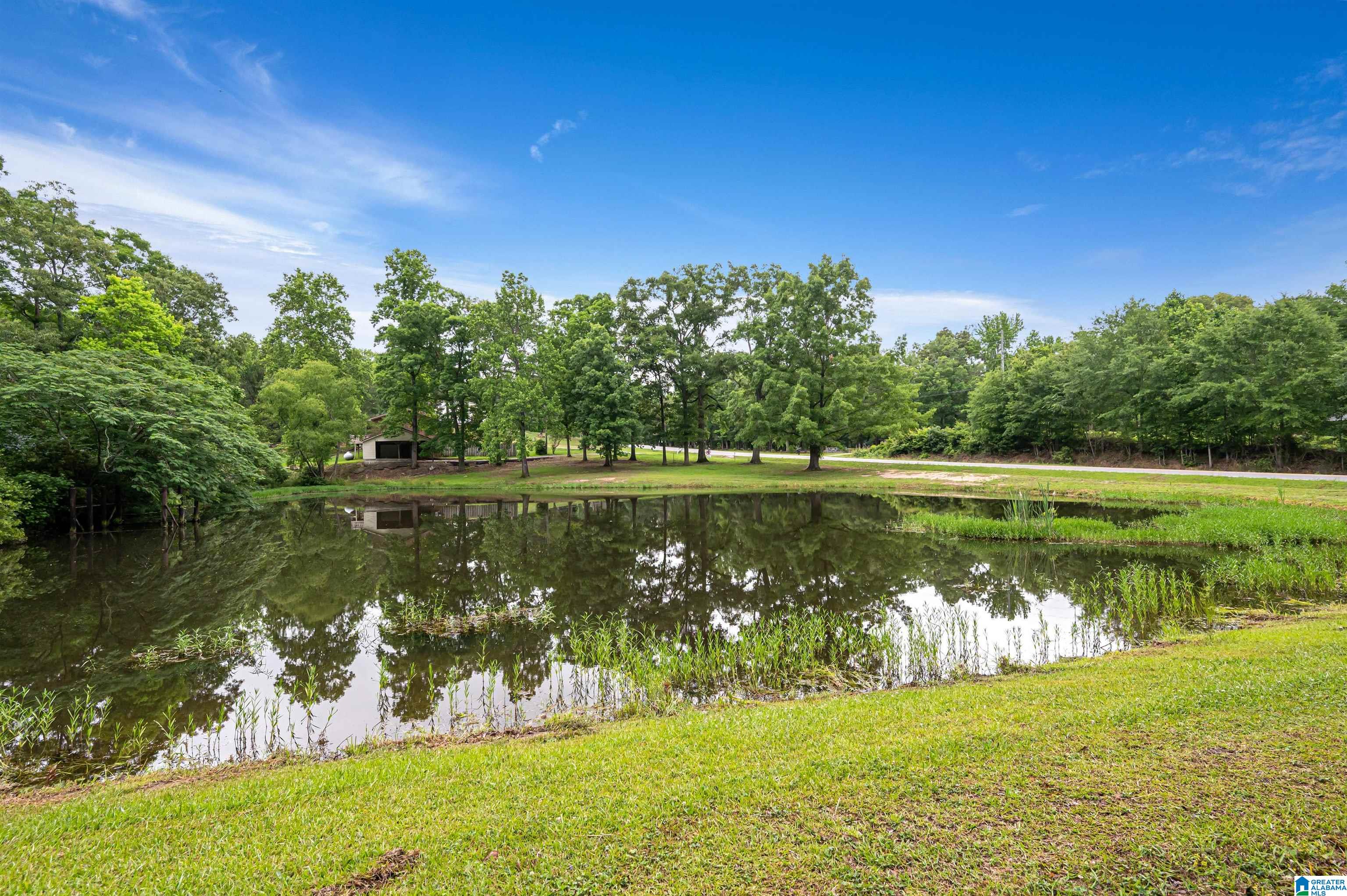 3869 Highway 155 Montevallo, AL 35115 - Photo 49 of 66