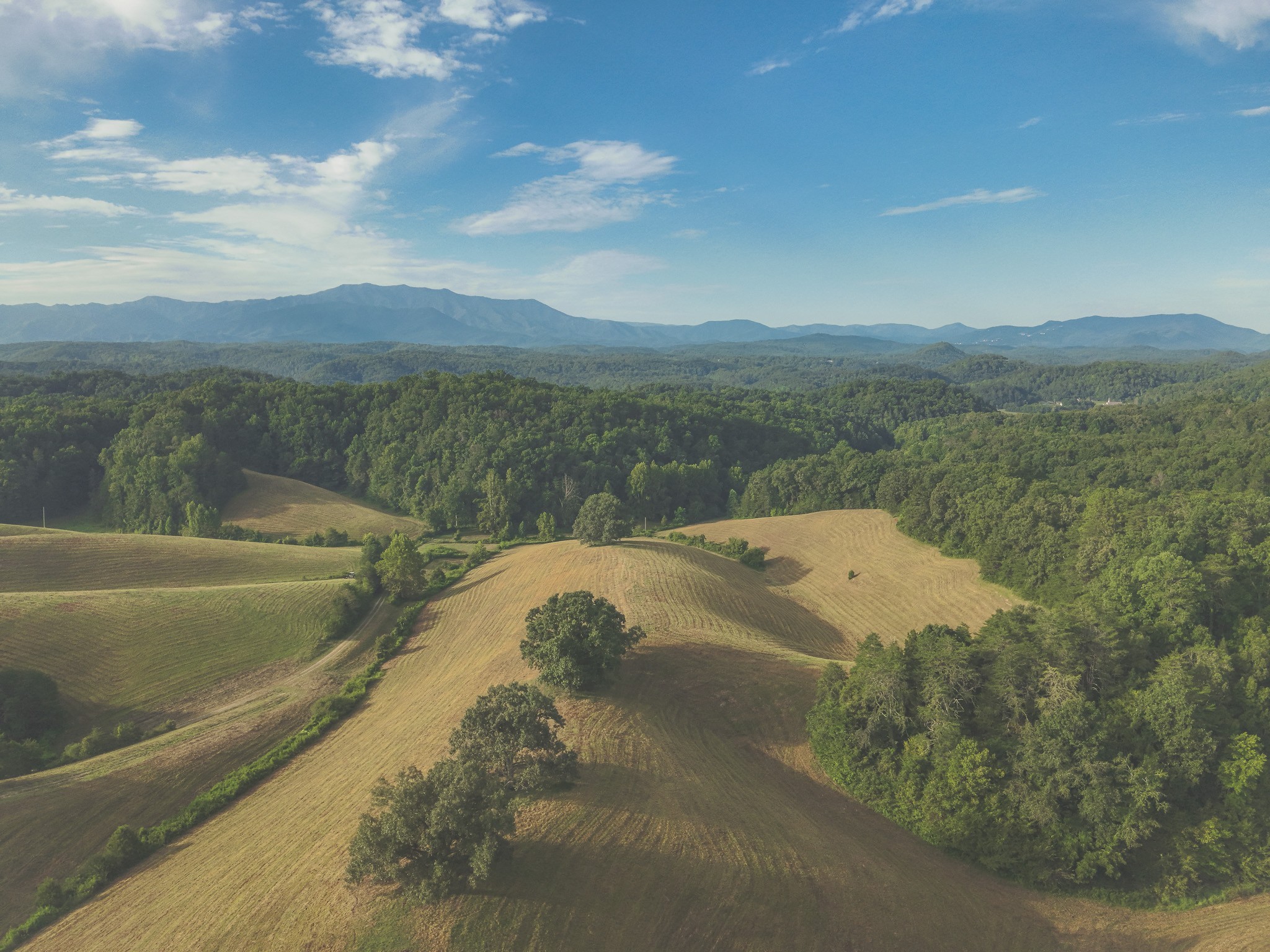 1634 Dixon Branch Road Sevierville, TN 37876 - Photo 38 of 86 Gallery Image 38