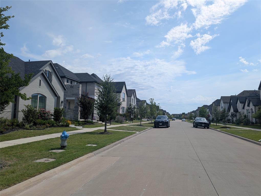 15532 Fringe Tree Road Frisco, TX 75035 - Photo 21 of 31 Contemporary residences featuring varied architectural styles and dark shingle roofs