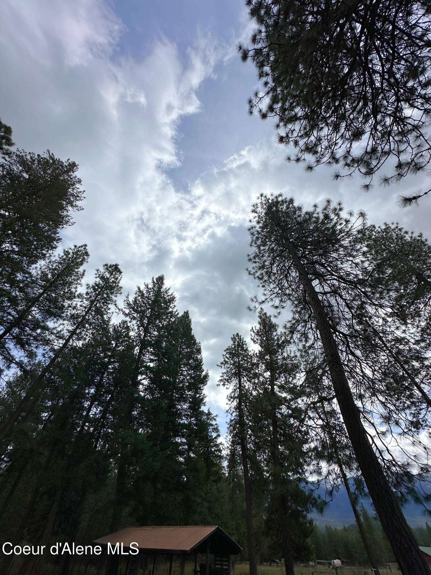 949 Fitzpatrick Road Bonners Ferry, ID 83805 - Photo 18 of 29 Clifty