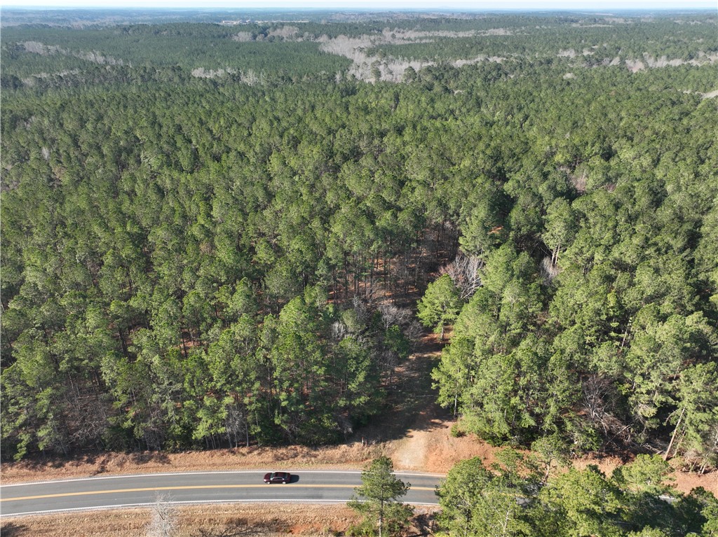 2301 Whitetown Road McCormick, SC 29835 - Photo 11 of 25