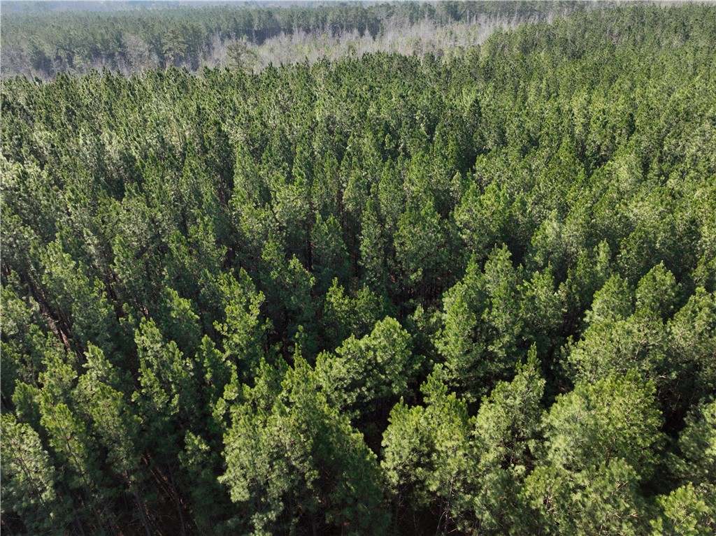 2301 Whitetown Road McCormick, SC 29835 - Photo 12 of 25