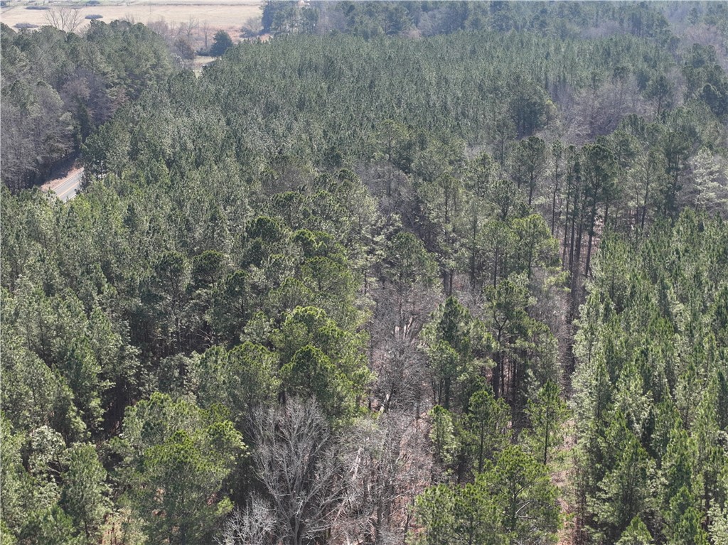 2301 Whitetown Road McCormick, SC 29835 - Photo 15 of 25