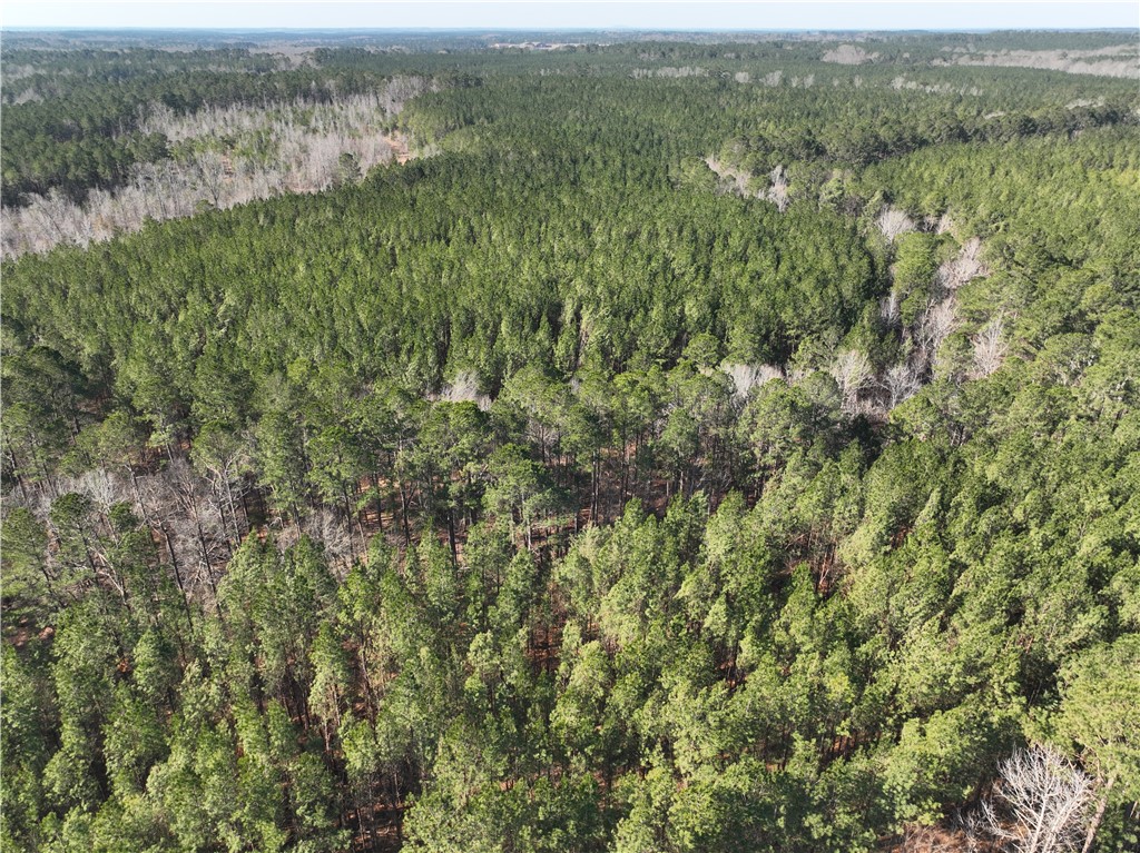 2301 Whitetown Road McCormick, SC 29835 - Photo 16 of 25