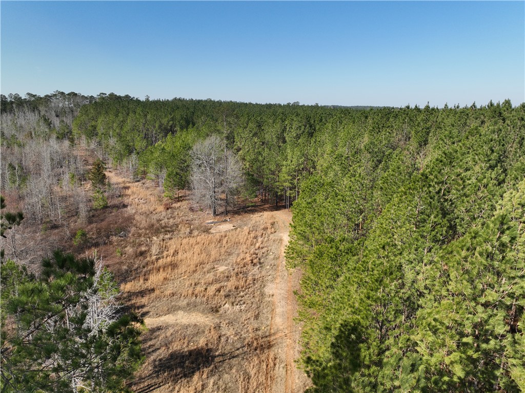 2301 Whitetown Road McCormick, SC 29835 - Photo 17 of 25