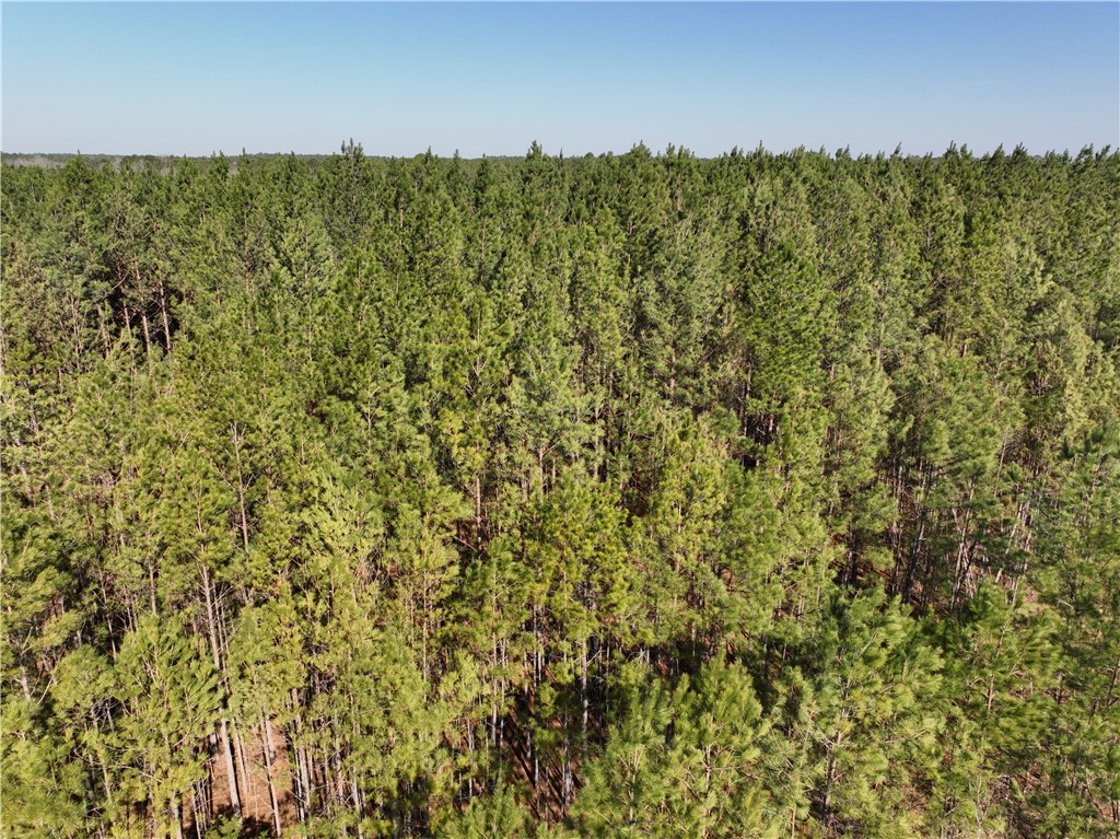 2301 Whitetown Road McCormick, SC 29835 - Photo 18 of 25