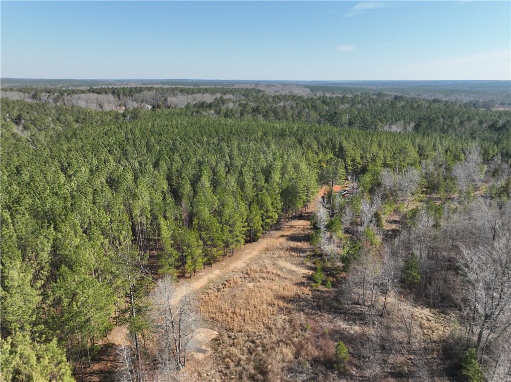 2301 Whitetown Road McCormick, SC 29835 - Photo 19 of 25