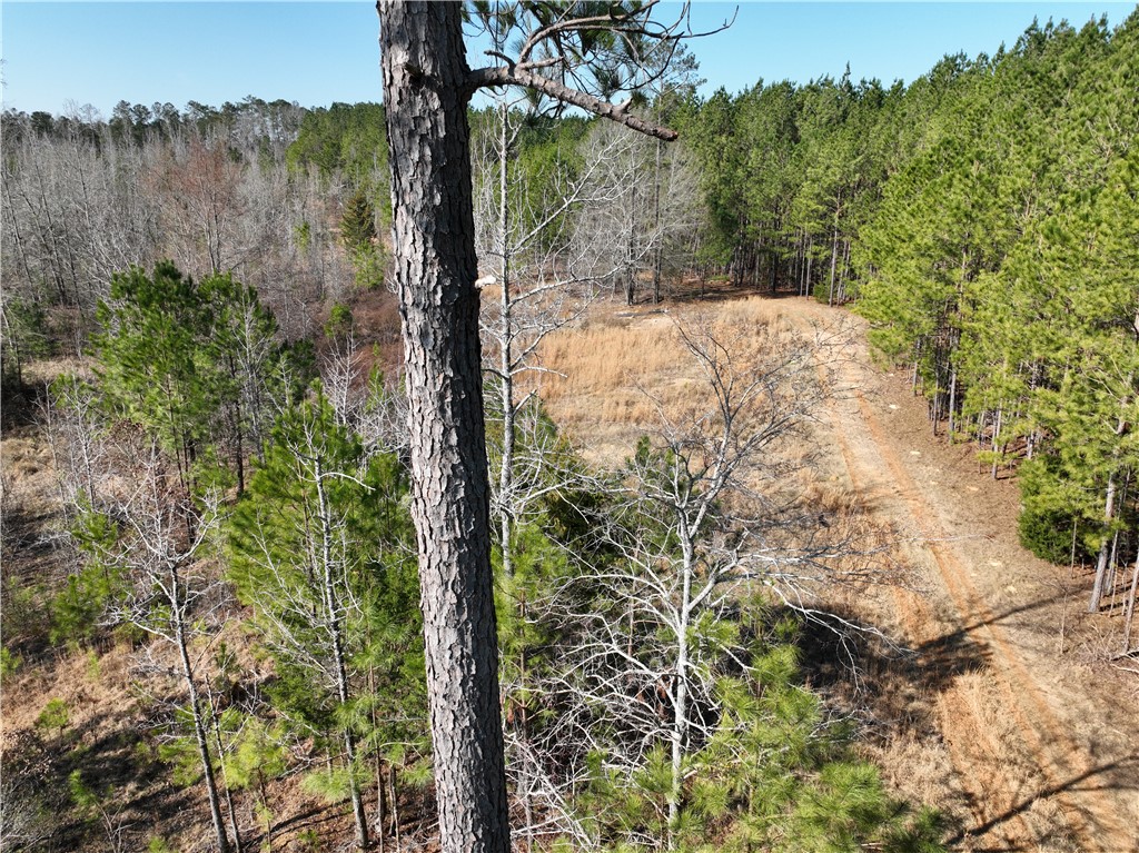2301 Whitetown Road McCormick, SC 29835 - Photo 20 of 25