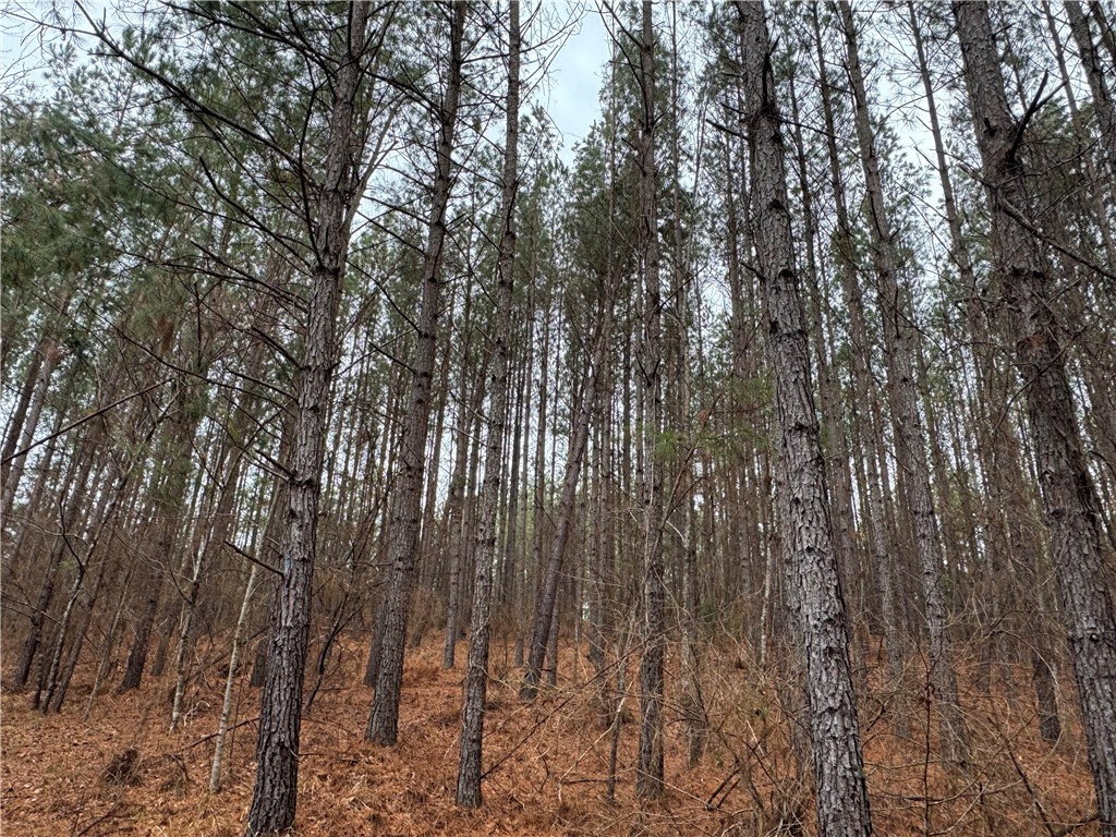 2301 Whitetown Road McCormick, SC 29835 - Photo 2 of 25