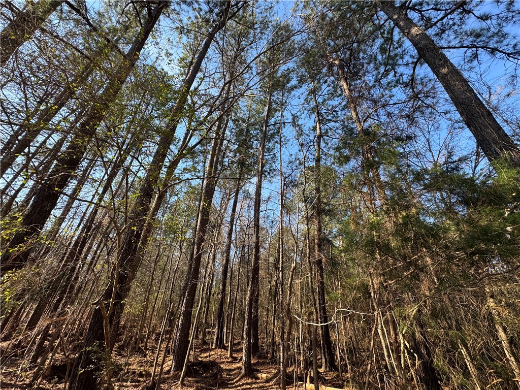 2301 Whitetown Road McCormick, SC 29835 - Photo 21 of 25