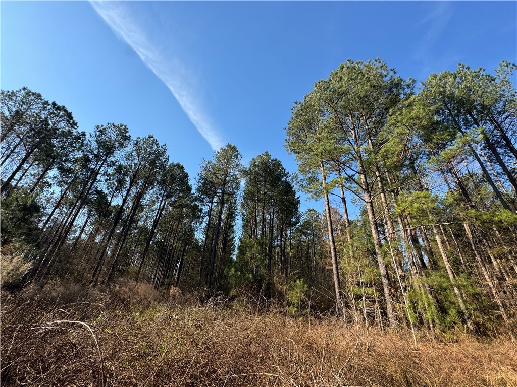 2301 Whitetown Road McCormick, SC 29835 - Photo 22 of 25