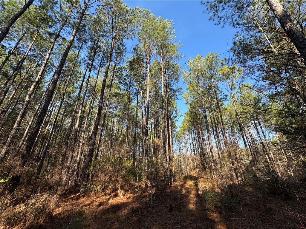 2301 Whitetown Road McCormick, SC 29835 - Photo 23 of 25