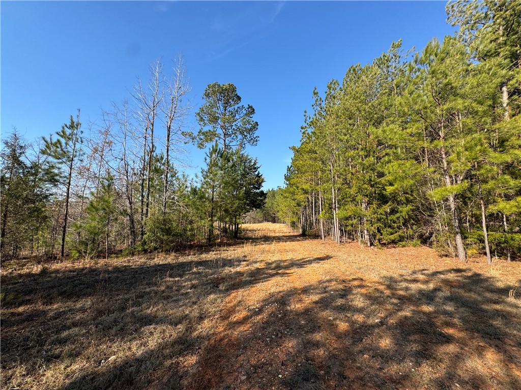 2301 Whitetown Road McCormick, SC 29835 - Photo 24 of 25