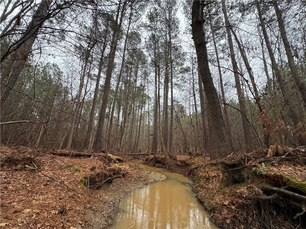 2301 Whitetown Road McCormick, SC 29835 - Photo 3 of 25