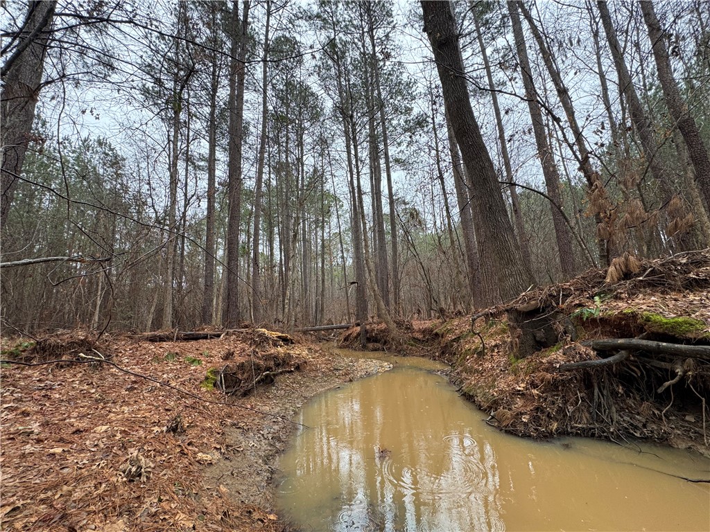 2301 Whitetown Road McCormick, SC 29835 - Photo 4 of 25