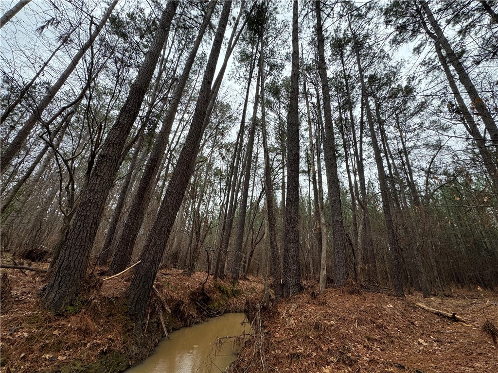 2301 Whitetown Road McCormick, SC 29835 - Photo 5 of 25
