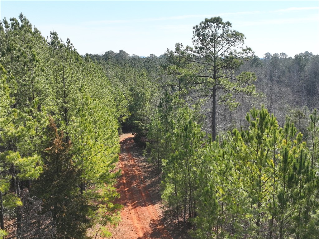 2301 Whitetown Road McCormick, SC 29835 - Photo 6 of 25