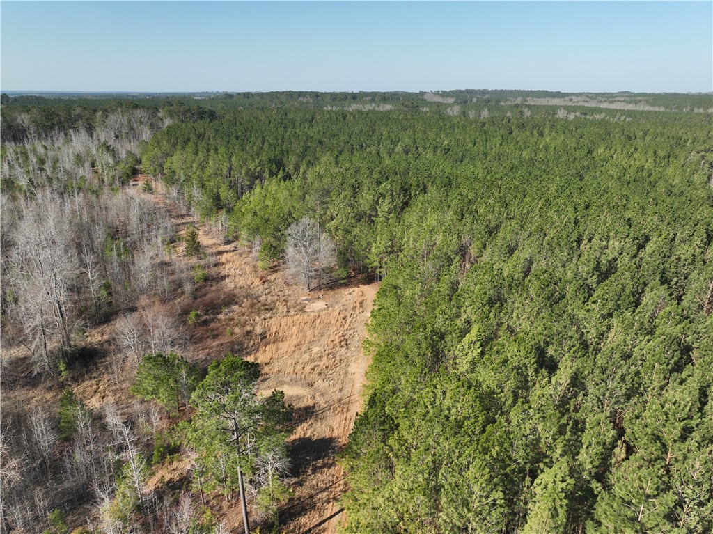 2301 Whitetown Road McCormick, SC 29835 - Photo 7 of 25