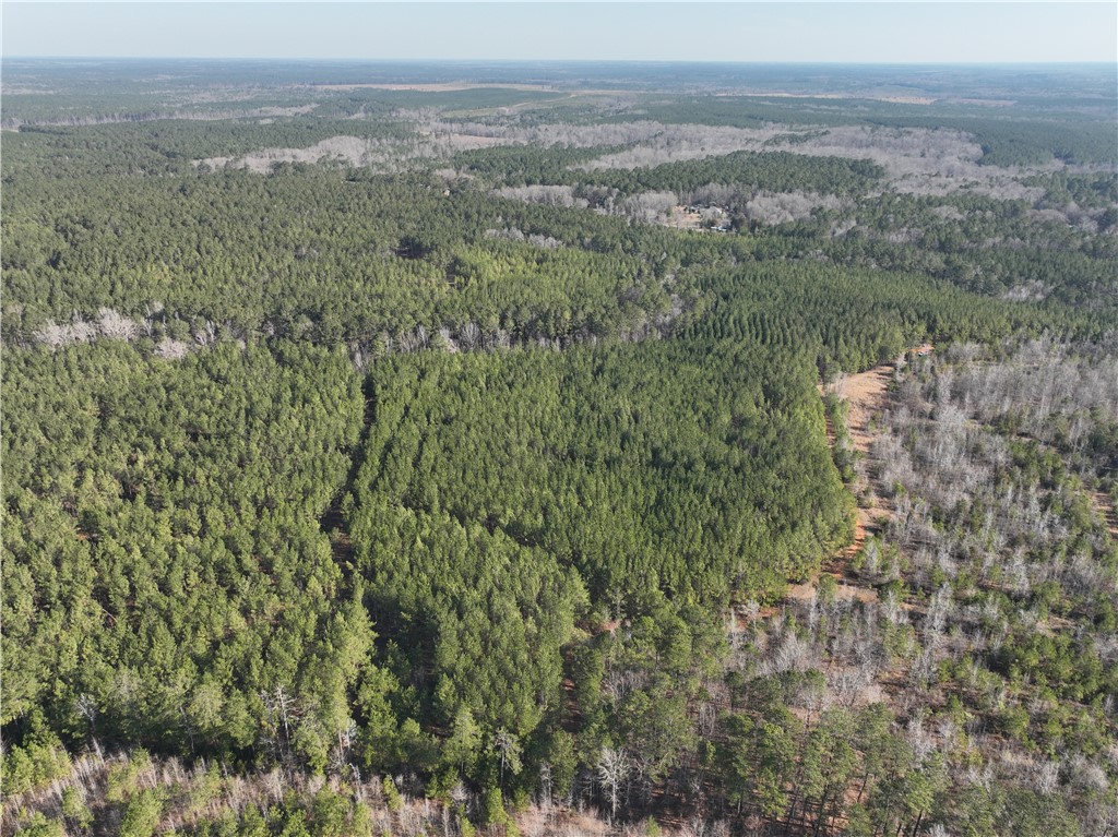 2301 Whitetown Road McCormick, SC 29835 - Photo 8 of 25