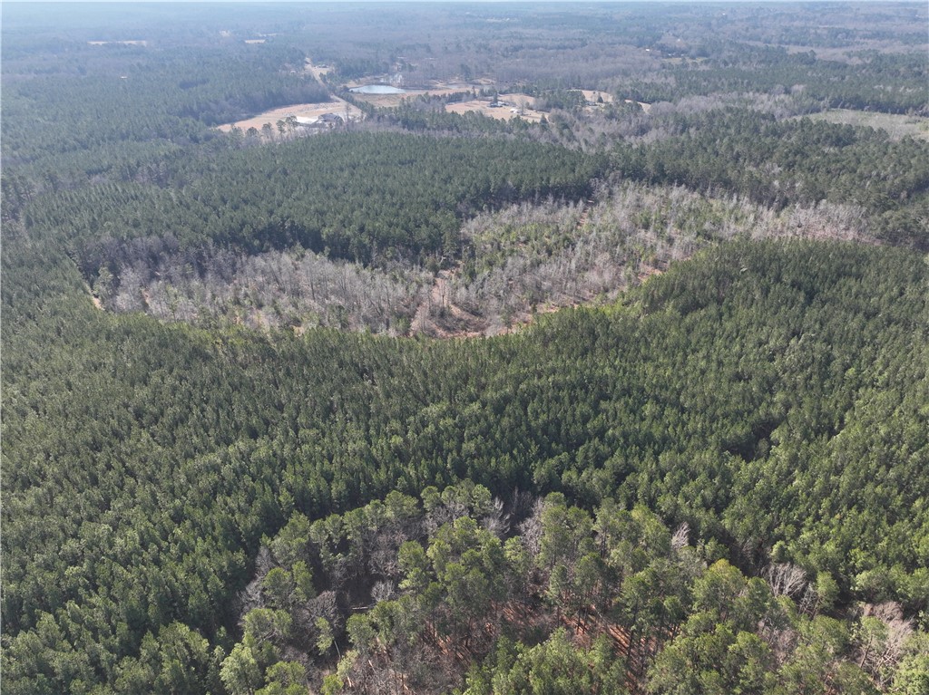 2301 Whitetown Road McCormick, SC 29835 - Photo 9 of 25