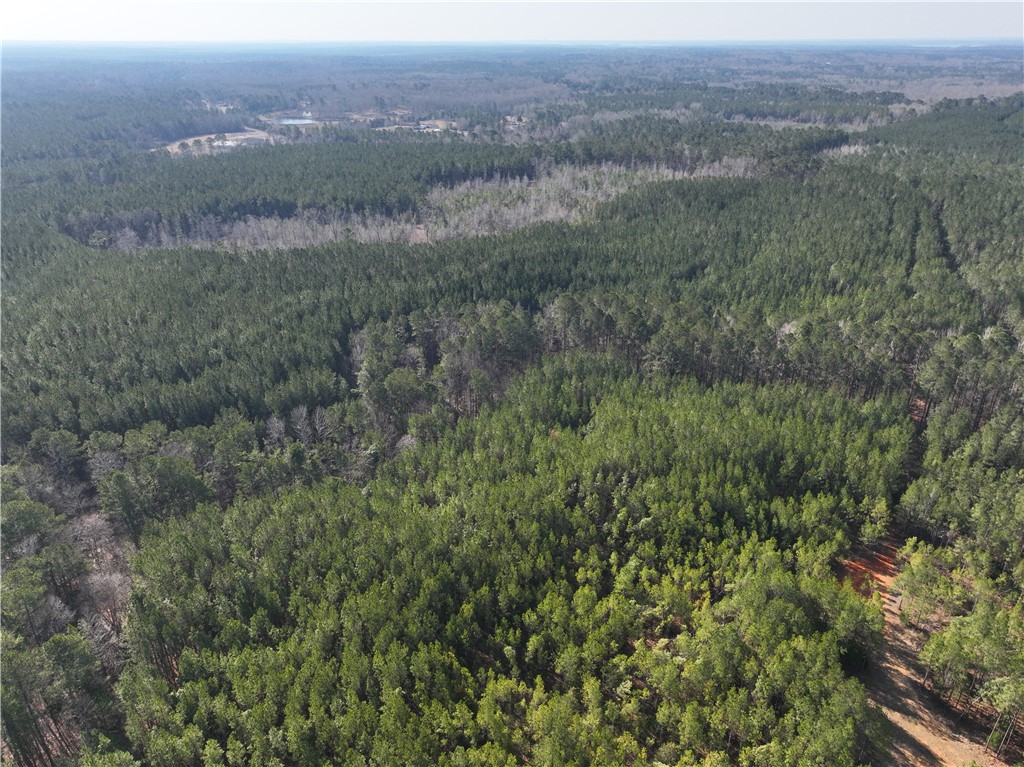 2301 Whitetown Road McCormick, SC 29835 - Photo 10 of 25