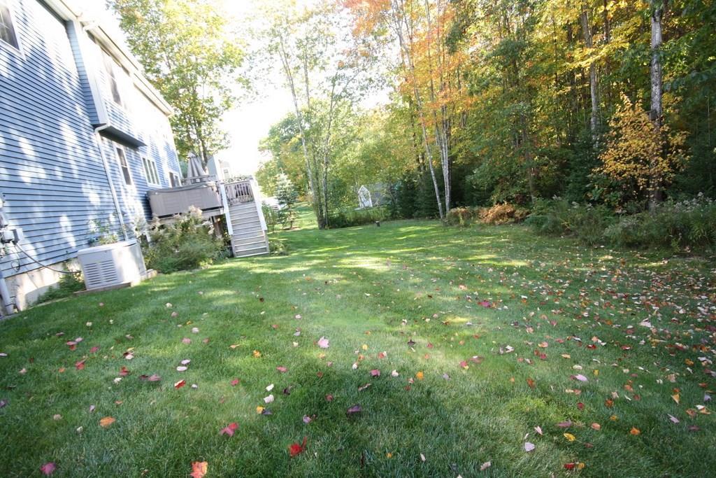 20 Sofia Road Saco, ME 04072 - Photo 22 of 27 Large Back Yard