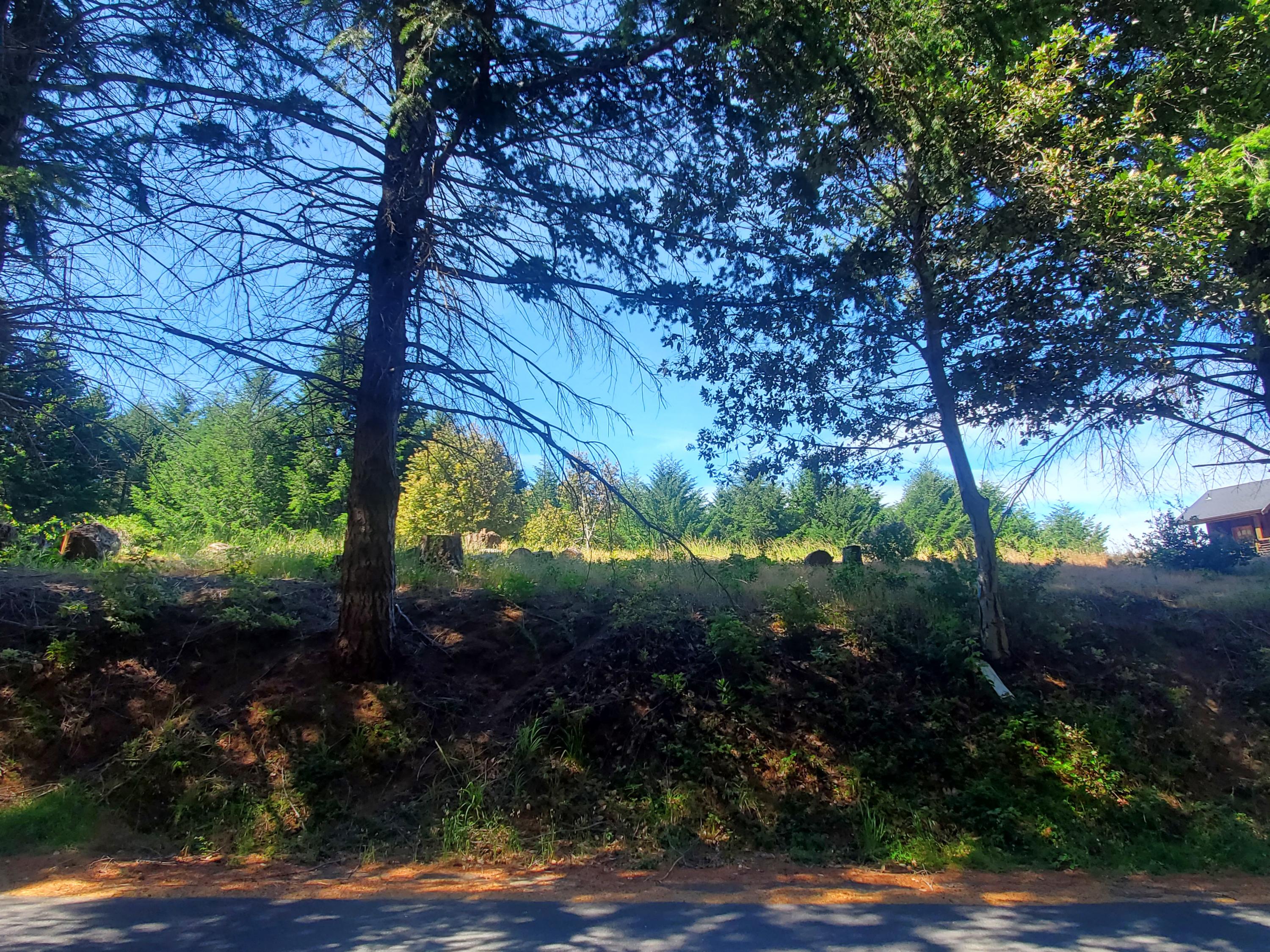 444 Ridge Road Whitethorn, CA 95589 - Photo 1 of 1 a view of back yard