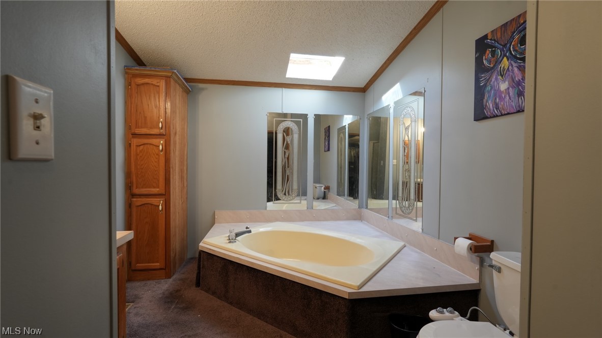 53447 Mud Run Road Senecaville, OH 43780 - Photo 16 of 31 Bathroom featuring a textured ceiling, crown molding, and toilet