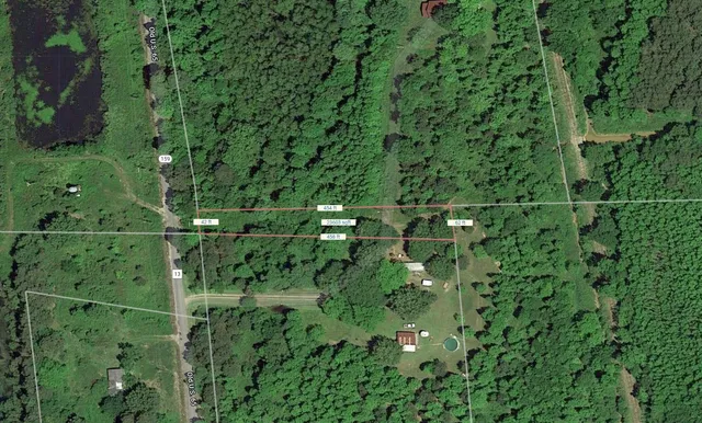 a view of a forest with a houses