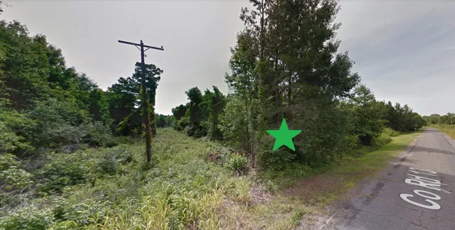 a green field with lots of trees in the background