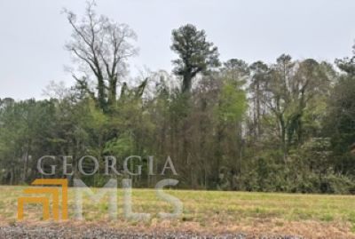 Hwy Highway 411 Ranger, GA 30732 - Photo 1 of 1 a view of a yard with trees