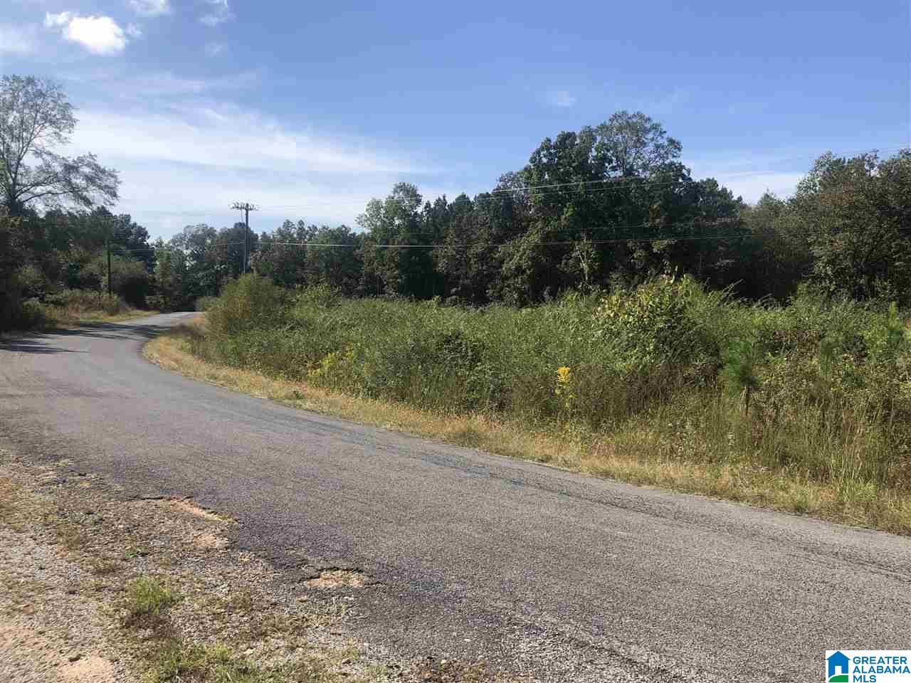 Lost Creek Road Carbon Hill, AL 35549 - Photo 2 of 6
