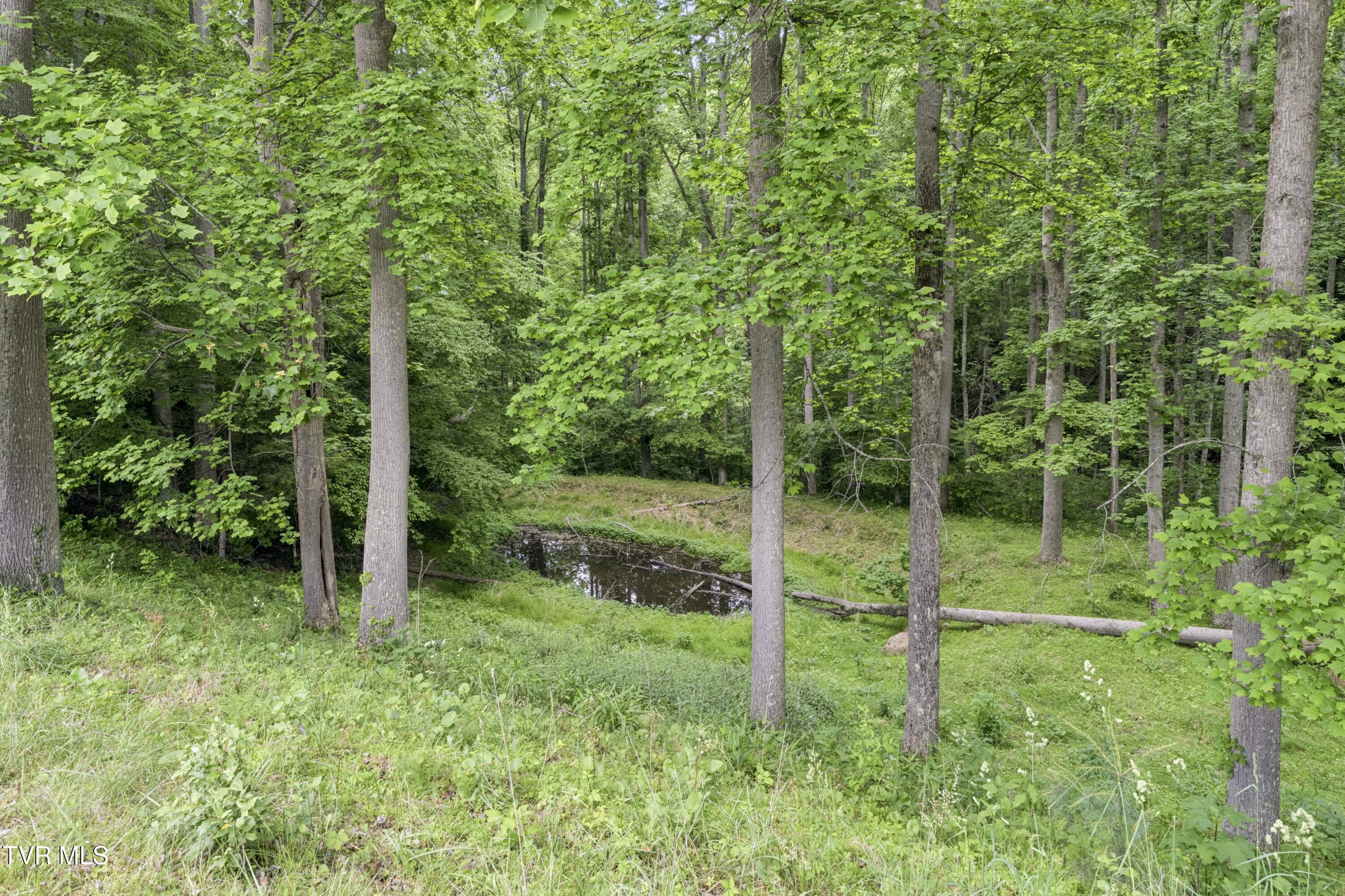 128 Lum McIntosh Road Erwin, TN 37650 - Photo 63 of 106 LumMc--44