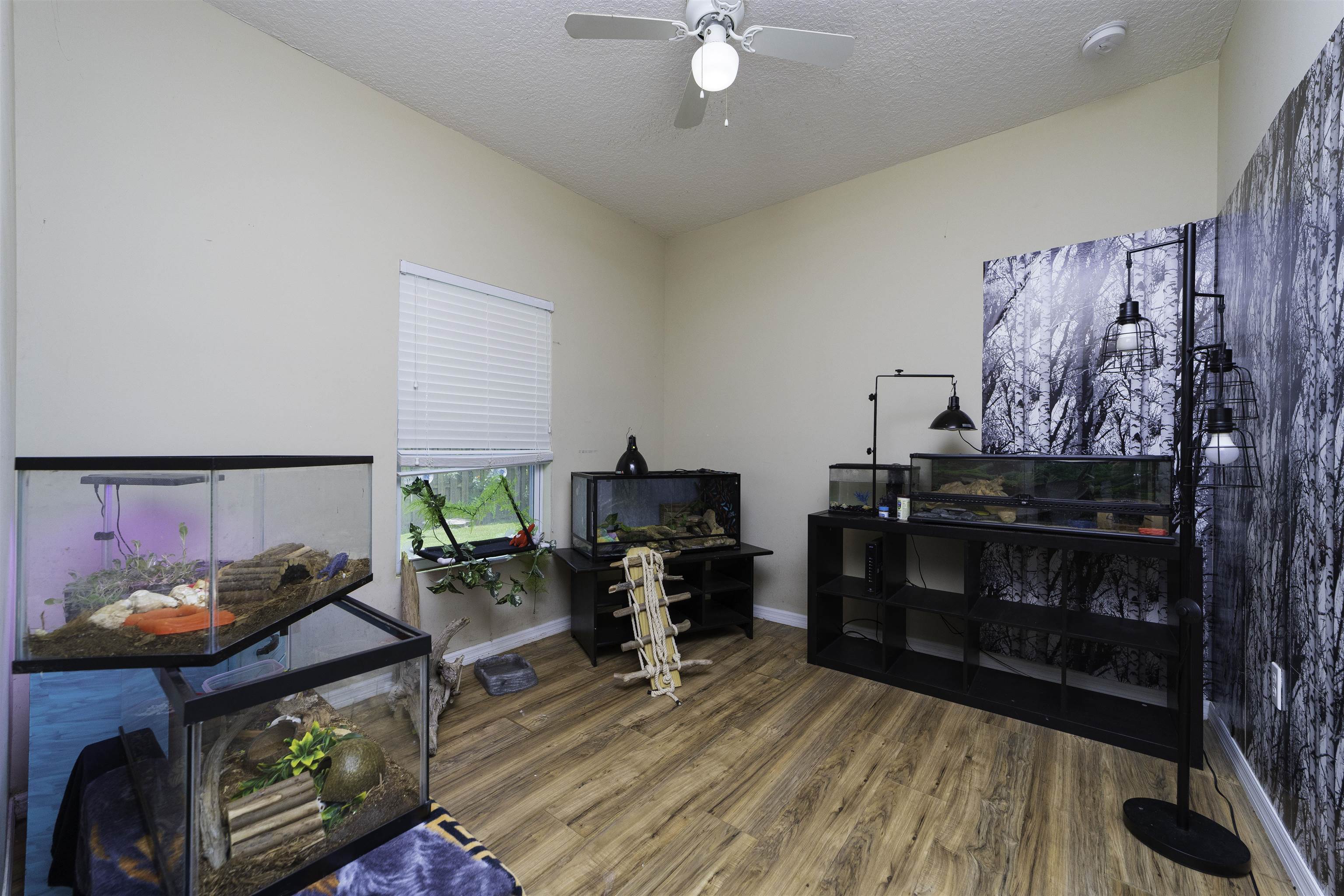 122 Osprey Road St. Augustine, FL 32086 - Photo 19 of 50 Gallery Image 19