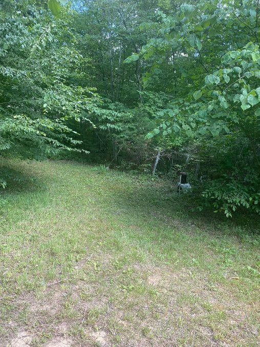 3412 Point Pleasant Road Newport, TN 37821 - Photo 2 of 17