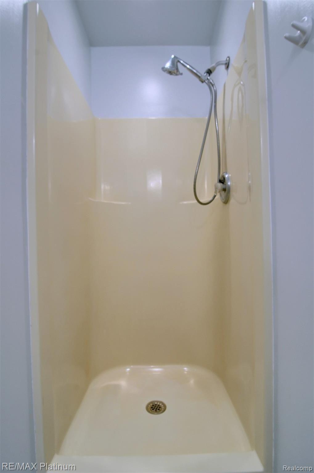 4799 East Clyde Road Howell, MI 48855 - Photo 21 of 38 21-Master Bathroom Shower.jpg