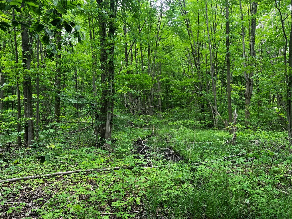 Yale Road Atwater, OH 44201 - Photo 17 of 22