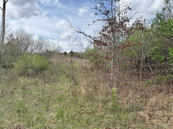 $325,000 | Lot 16 Pine Crest Estates, Wright City, MO 63390