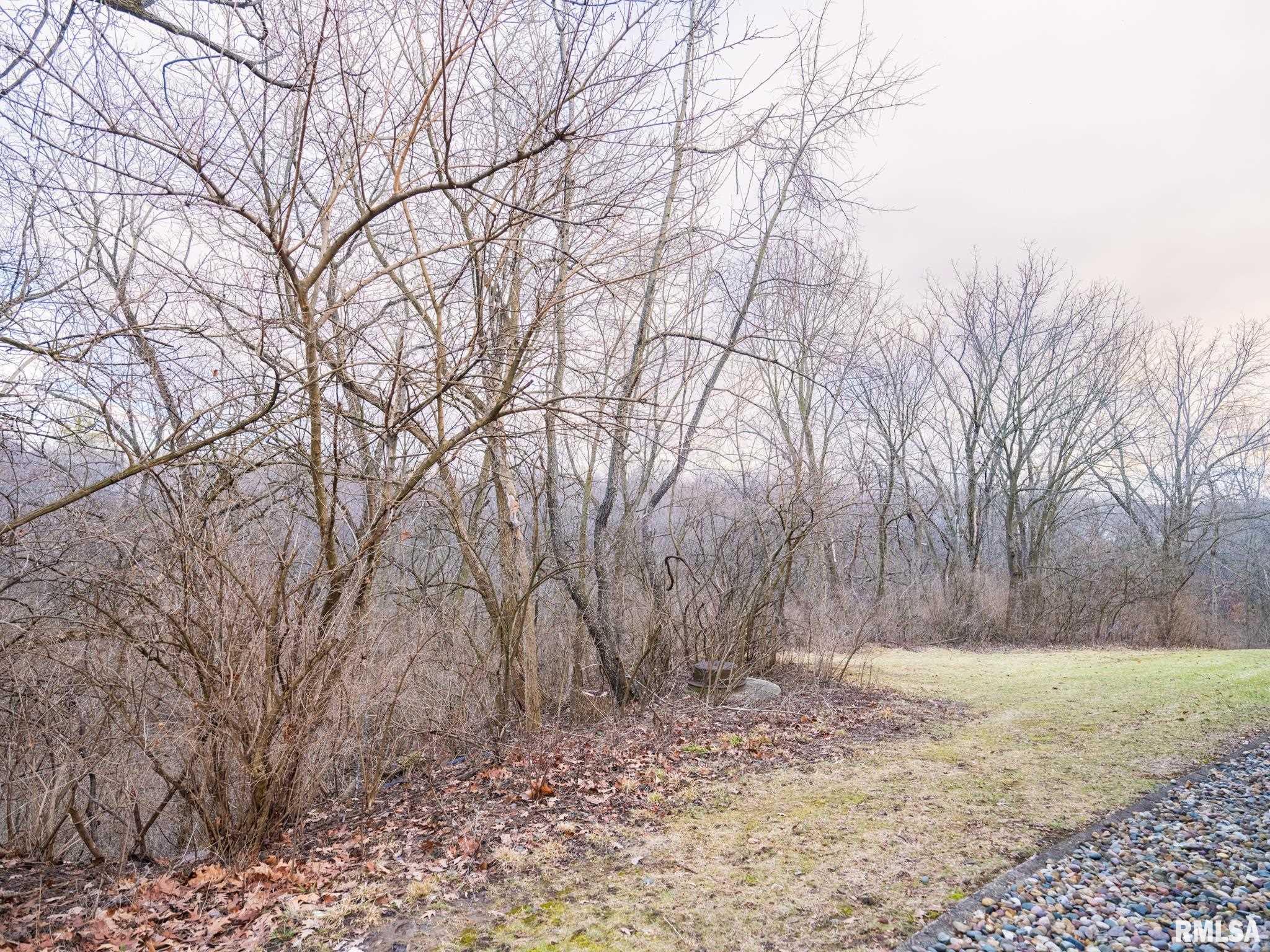 6300 North Allen Road, Unit 13 Peoria, IL 61614 - Photo 47 of 53 Gallery Image 47